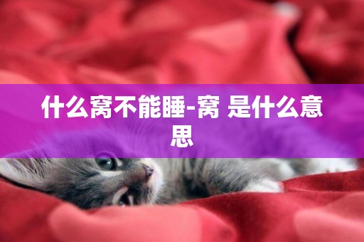 什么窩不能睡-窩 是什么意思