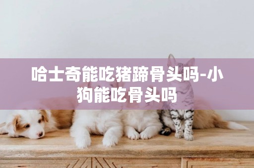 哈士奇能吃豬蹄骨頭嗎-小狗能吃骨頭嗎