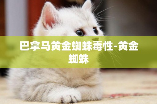 巴拿馬黃金蜘蛛毒性-黃金蜘蛛