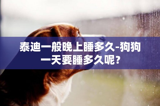 泰迪一般晚上睡多久-狗狗一天要睡多久呢？