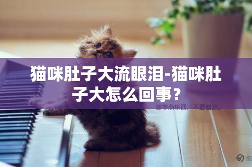 貓咪肚子大流眼淚-貓咪肚子大怎么回事？
