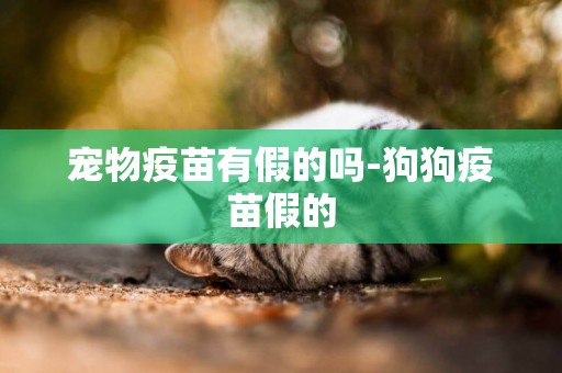 寵物疫苗有假的嗎-狗狗疫苗假的