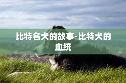 比特名犬的故事-比特犬的血統