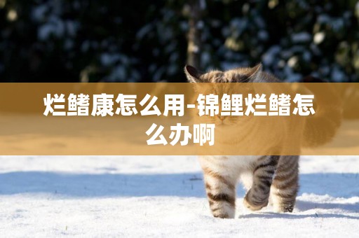 爛鰭康怎么用-錦鯉爛鰭怎么辦啊