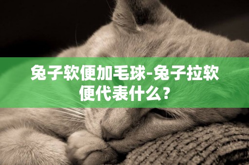 兔子軟便加毛球-兔子拉軟便代表什么？