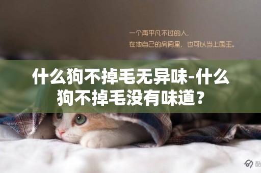 什么狗不掉毛無異味-什么狗不掉毛沒有味道？