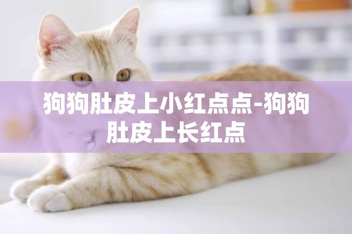 狗狗肚皮上小紅點點-狗狗肚皮上長紅點