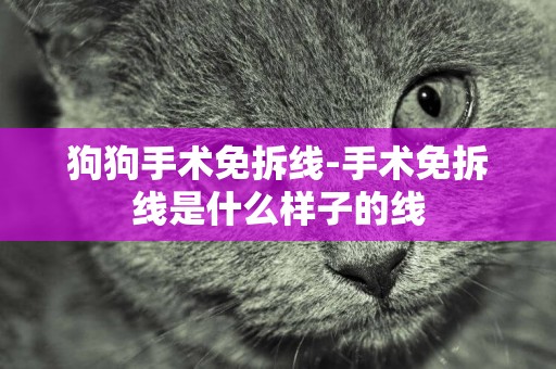 狗狗手術免拆線-手術免拆線是什么樣子的線