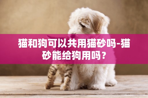 貓和狗可以共用貓砂嗎-貓砂能給狗用嗎？