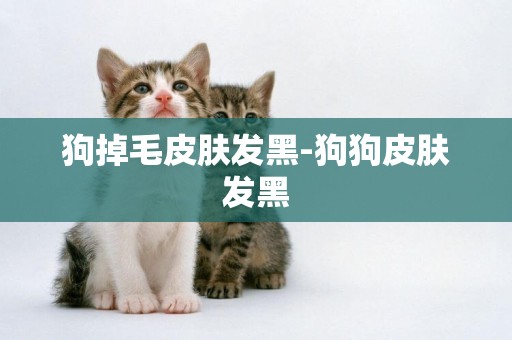 狗掉毛皮膚發黑-狗狗皮膚發黑
