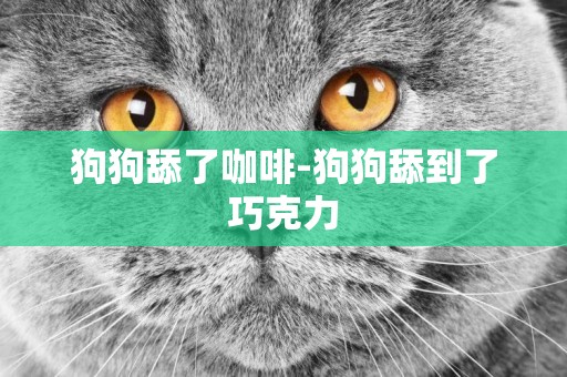 狗狗舔了咖啡-狗狗舔到了巧克力