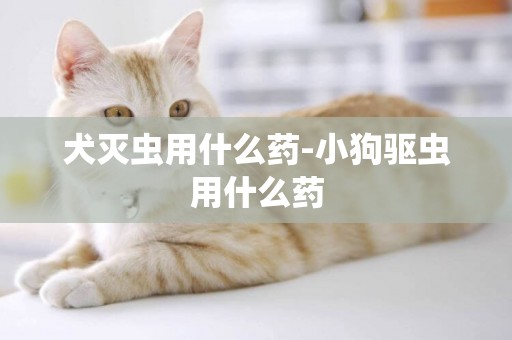 犬滅蟲用什么藥-小狗驅蟲用什么藥