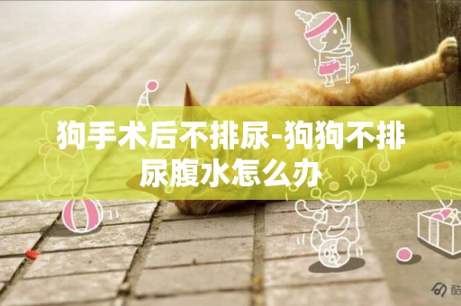 狗手術后不排尿-狗狗不排尿腹水怎么辦