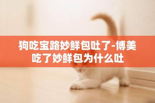 狗吃寶路妙鮮包吐了-博美吃了妙鮮包為什么吐