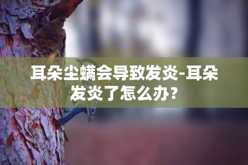 耳朵塵螨會導致發炎-耳朵發炎了怎么辦？