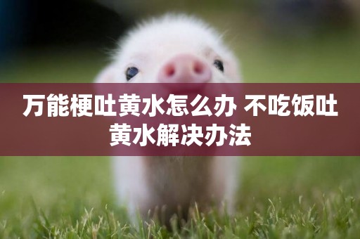 萬能梗吐黃水怎么辦 不吃飯吐黃水解決辦法