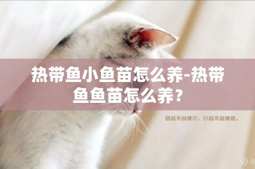 熱帶魚小魚苗怎么養-熱帶魚魚苗怎么養？