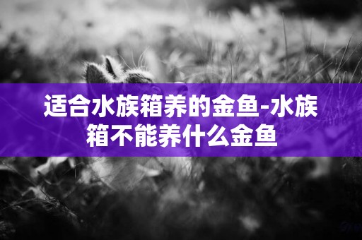 適合水族箱養的金魚-水族箱不能養什么金魚