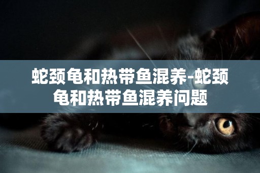 蛇頸龜和熱帶魚混養-蛇頸龜和熱帶魚混養問題