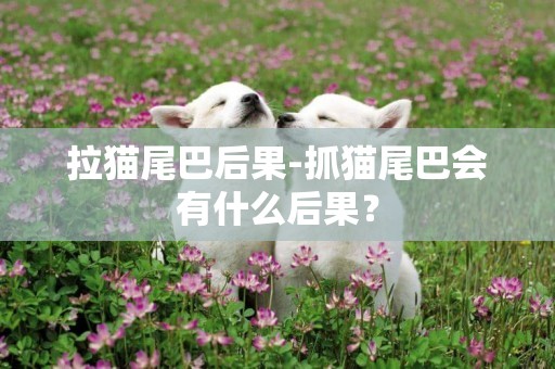 拉貓尾巴后果-抓貓尾巴會有什么后果？