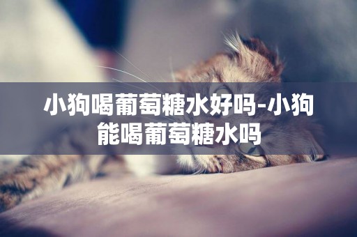 小狗喝葡萄糖水好嗎-小狗能喝葡萄糖水嗎