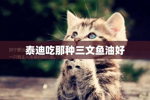 泰迪吃那種三文魚油好