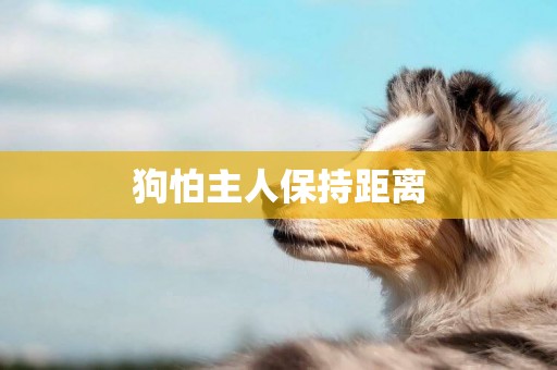 狗怕主人保持距離