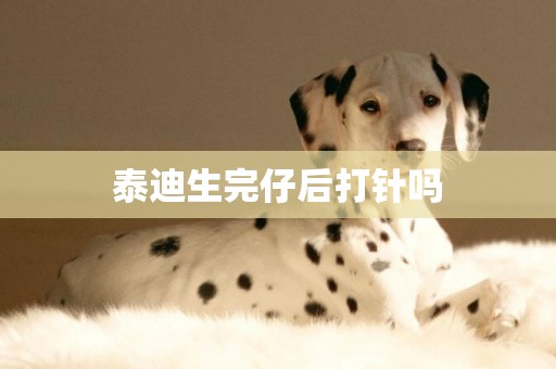 泰迪生完仔后打針嗎