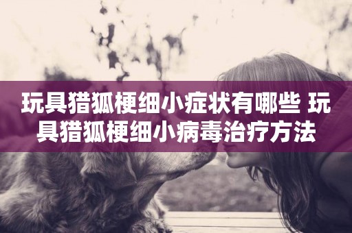 玩具獵狐梗細小癥狀有哪些 玩具獵狐梗細小病毒治療方法