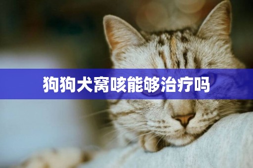 狗狗犬窩咳能夠治療嗎