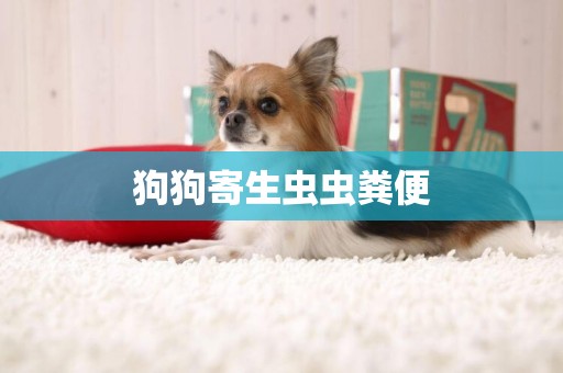 狗狗寄生蟲蟲糞便