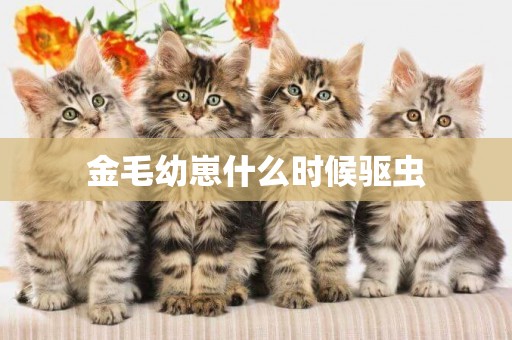 金毛幼崽什么時候驅蟲