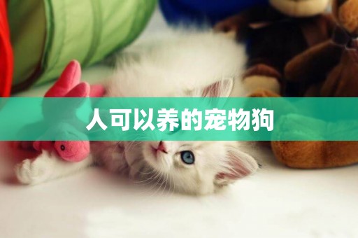 人可以養的寵物狗