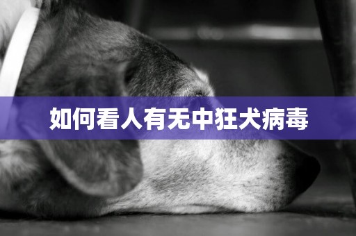 如何看人有無中狂犬病毒