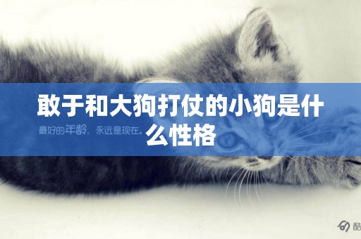 敢于和大狗打仗的小狗是什么性格