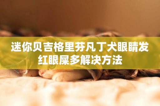 迷你貝吉格里芬凡丁犬眼睛發紅眼屎多解決方法