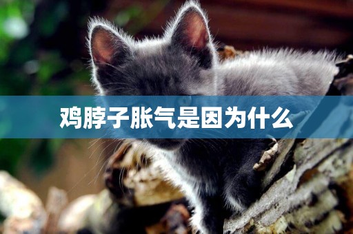 雞脖子脹氣是因為什么