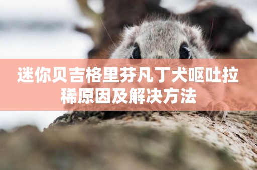 迷你貝吉格里芬凡丁犬嘔吐拉稀原因及解決方法