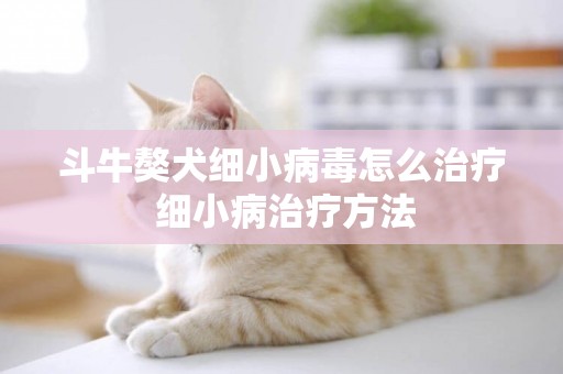 斗牛獒犬細小病毒怎么治療 細小病治療方法