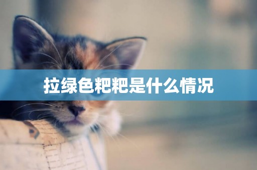 拉綠色粑粑是什么情況