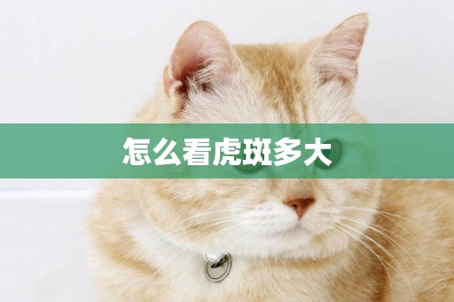 怎么看虎斑多大