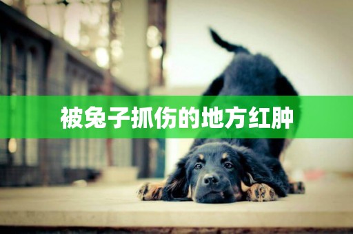 被兔子抓傷的地方紅腫