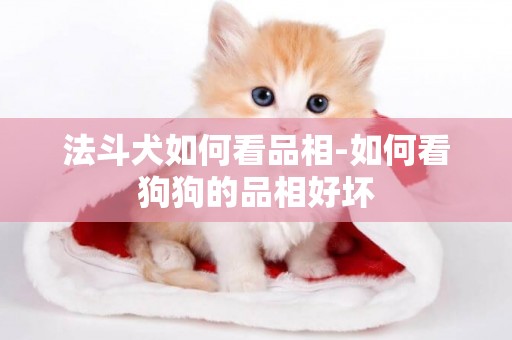 法斗犬如何看品相-如何看狗狗的品相好壞