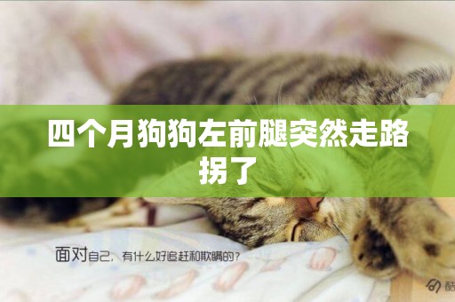 四個月狗狗左前腿突然走路拐了