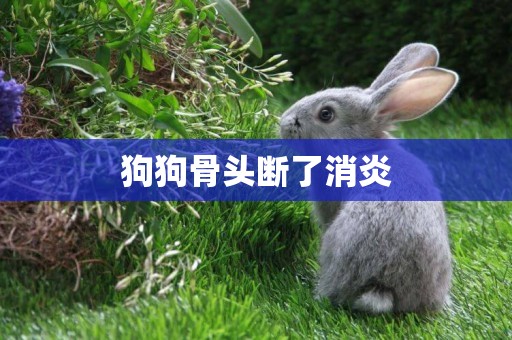 狗狗骨頭斷了消炎