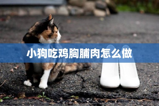 小狗吃雞胸脯肉怎么做