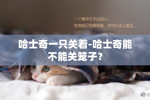 哈士奇一只關著-哈士奇能不能關籠子？