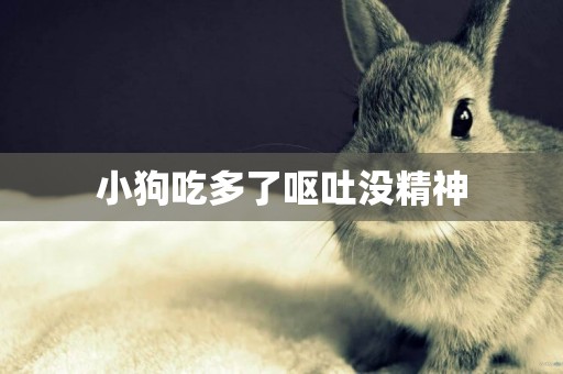 小狗吃多了嘔吐沒精神