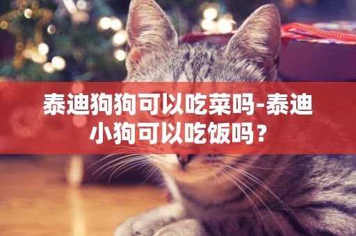 泰迪狗狗可以吃菜嗎-泰迪小狗可以吃飯嗎？