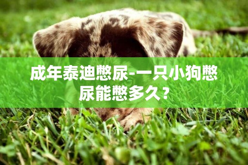 成年泰迪憋尿-一只小狗憋尿能憋多久？
